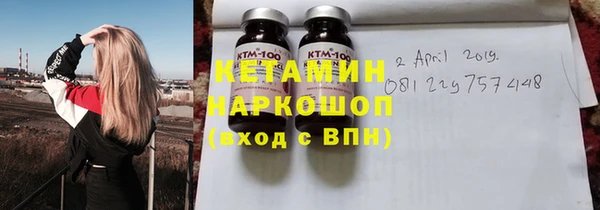 твердый Новозыбков