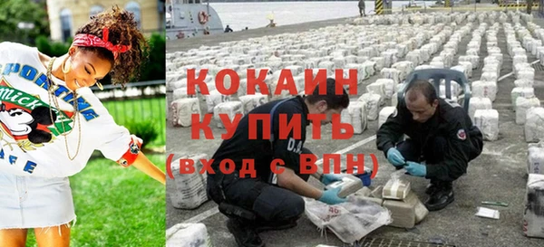 твердый Новозыбков