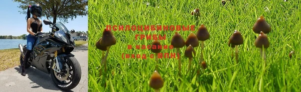 мдма Няндома