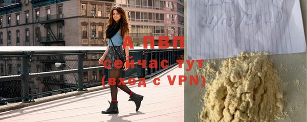 гашик Новодвинск