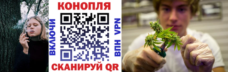 даркнет сайт Радужный Бошки Шишки AK-47